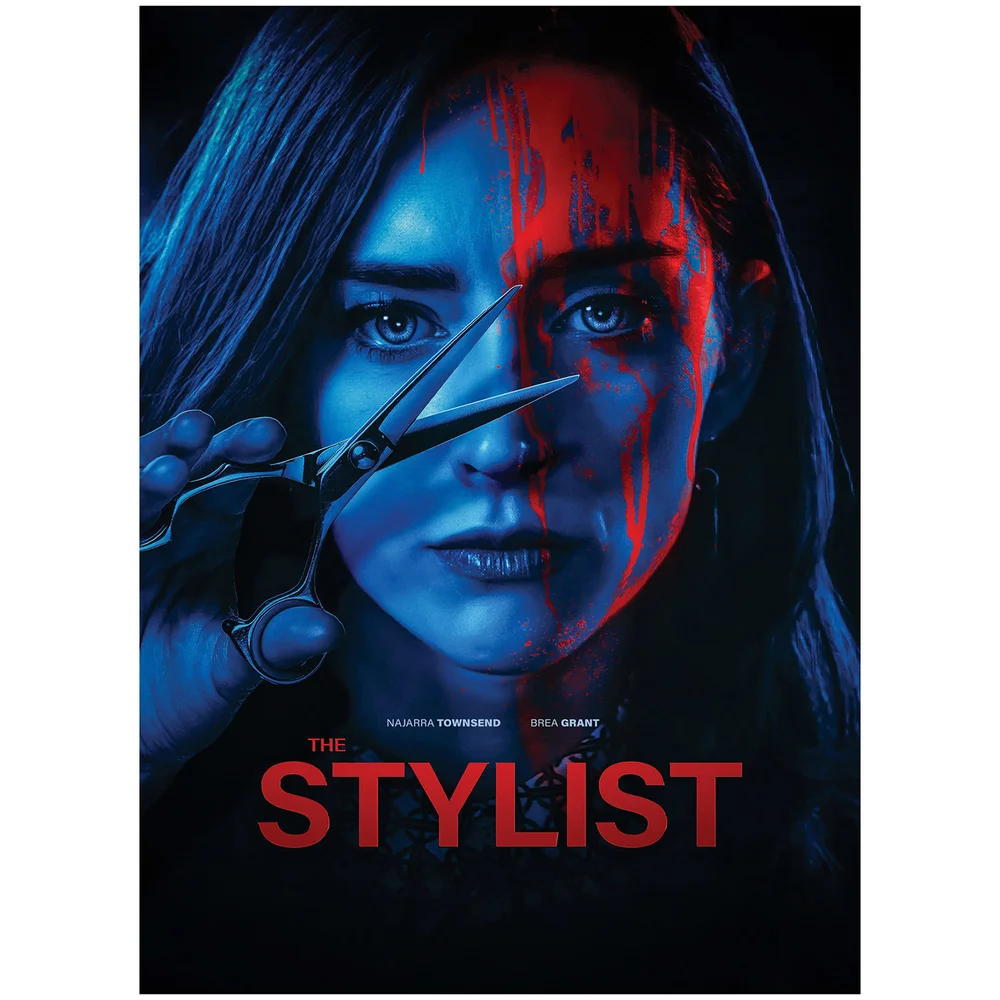 The Stylist DVD Image 1